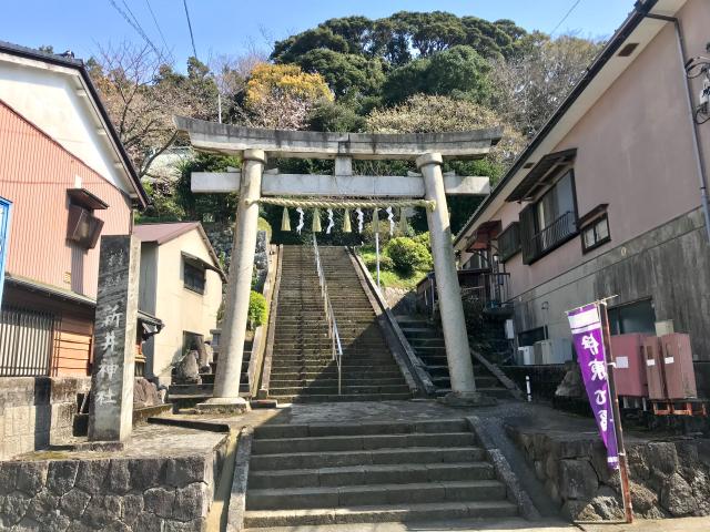 静岡県伊東市新井2-15-1 新井神社の写真2