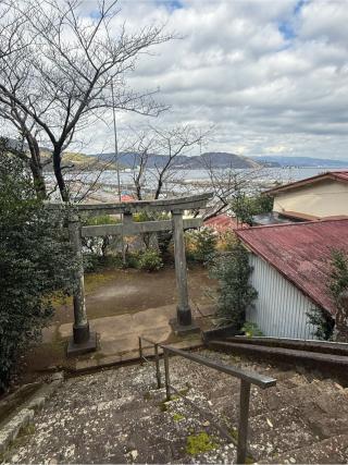 新井神社の参拝記録(skさん)