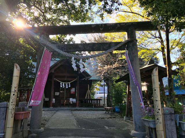 音無神社の参拝記録(じゃすてぃさん)