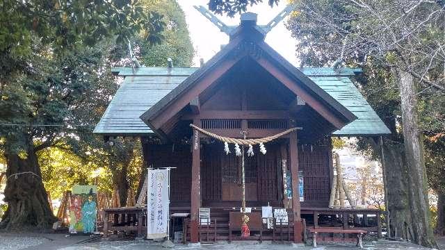 音無神社の参拝記録(ステイさん)