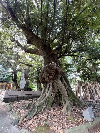 音無神社の参拝記録(たかしさん)