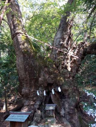 葛見神社の参拝記録(てらっちさん)