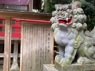 鹿島神社（湯川神社）の参拝記録(🤗あんこさん)