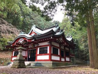 諏訪神社の参拝記録(ayaさん)