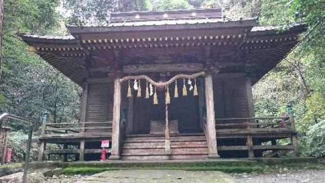 八幡宮來宮神社の参拝記録(琥珀さん)