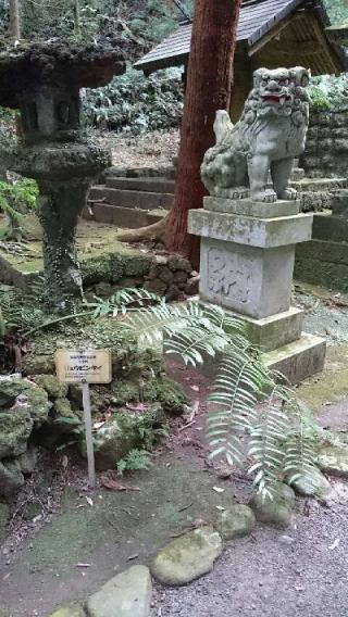 八幡宮來宮神社の参拝記録(琥珀さん)