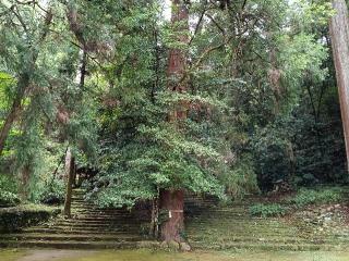 八幡宮來宮神社の参拝記録(ジョージ。さん)
