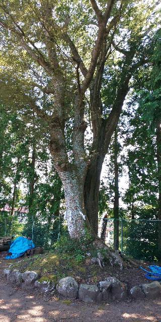 一色神社下ノ宮の参拝記録(げんさんさん)