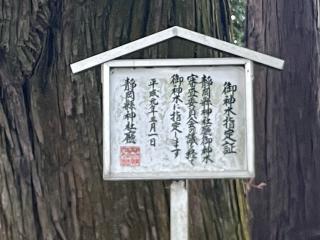 浅間神社の参拝記録(まささん)