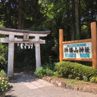 神場山神社の参拝記録(ワヲンさん)