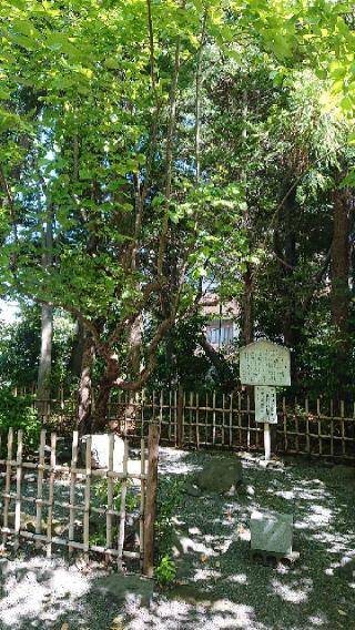 八幡神社（対面石八幡神社）の参拝記録(まっくさん)