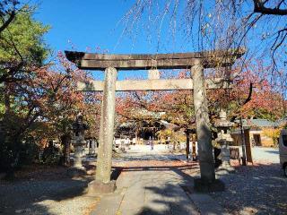 日枝神社（山王宮 沼津日枝神社）の参拝記録(まっきーさん)