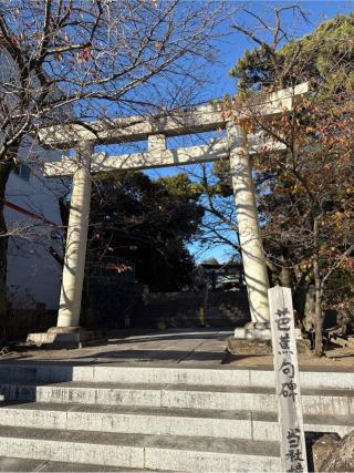 日枝神社（山王宮 沼津日枝神社）の参拝記録(⛩️🐍🐢まめ🐢🐍⛩️さん)