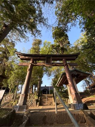 茶畑浅間神社の参拝記録(ねこチャリさん)