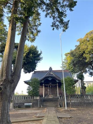 茶畑浅間神社の参拝記録(ねこチャリさん)