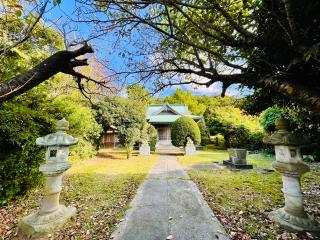 金櫻神社の参拝記録(shikigami_hさん)