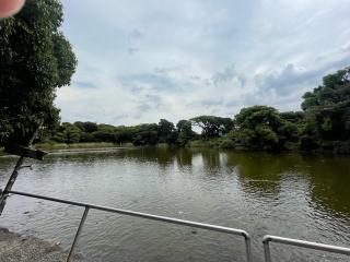 大瀬神社(引手力命神社)の参拝記録(ハチロクおじさんさん)