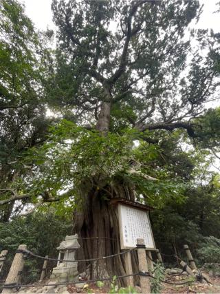 大瀬神社(引手力命神社)の参拝記録(ハチロクおじさんさん)