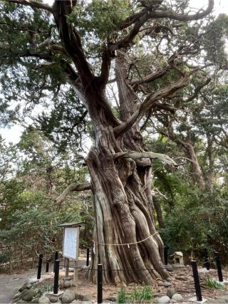 大瀬神社(引手力命神社)の参拝記録(Shigeboo 13さん)