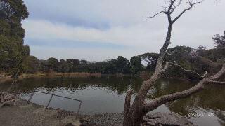 大瀬神社(引手力命神社)の参拝記録(あにぃさん)