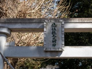 飯玉神社の参拝記録(xylitol1962さん)
