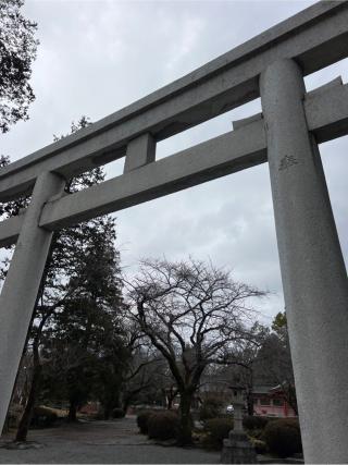 富士山本宮浅間大社（駿河国一宮）の参拝記録(⛩️🐍🐢まめ🐢🐍⛩️さん)