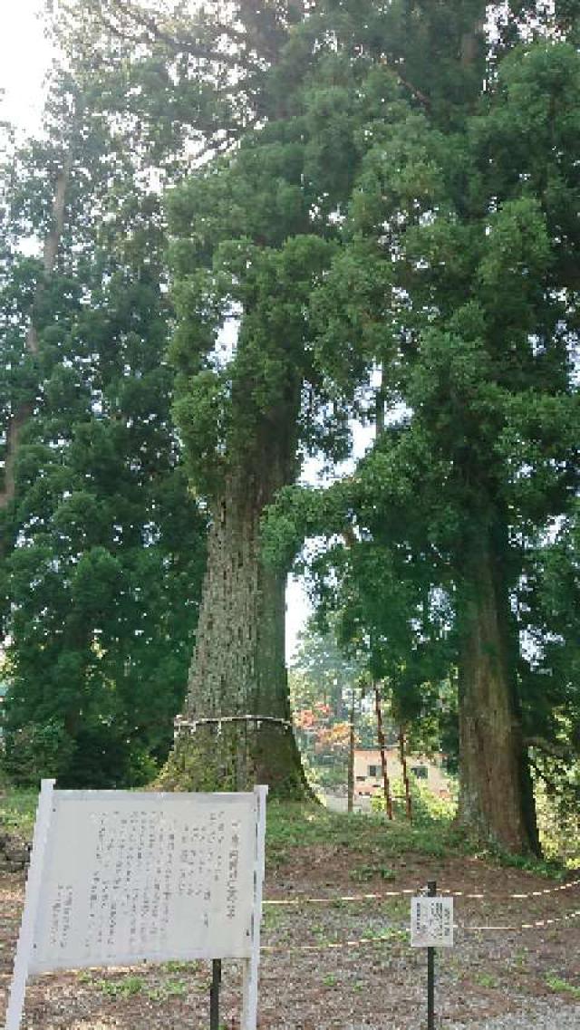 静岡県富士宮市村山1151 村山浅間神社の写真8