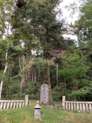 浅間神社（人穴浅間神社）の参拝記録(SHJさん)