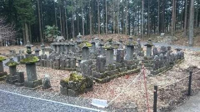 静岡県富士宮市人穴206 浅間神社（人穴浅間神社）の写真5