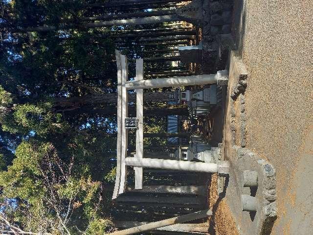 浅間神社（山宮浅間神社）の参拝記録6