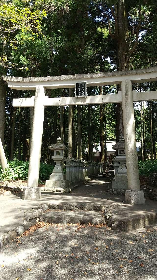 浅間神社（山宮浅間神社）の参拝記録10