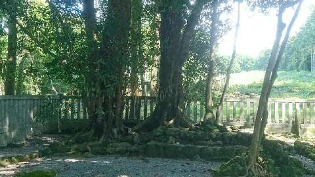 静岡県富士宮市山宮740 浅間神社（山宮浅間神社）の写真11