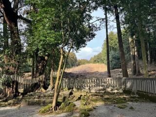 浅間神社（山宮浅間神社）の参拝記録(はちさん)