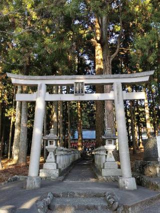 浅間神社（山宮浅間神社）の参拝記録(シンビさん)