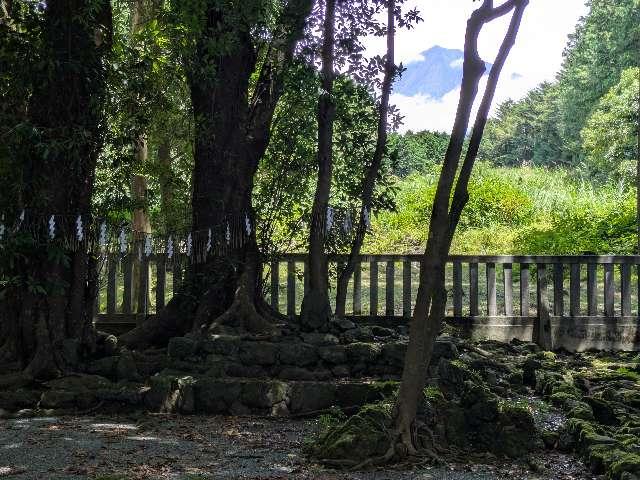 浅間神社（山宮浅間神社）の参拝記録6