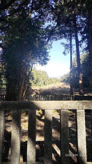 浅間神社（山宮浅間神社）の参拝記録(あにぃさん)