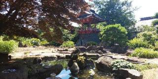 長壽山 福増寺の参拝記録(しろぎすさん)