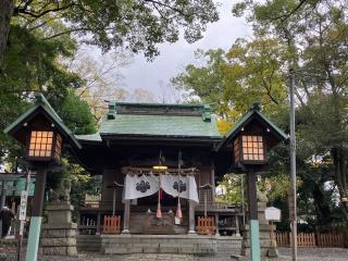 矢倉神社の参拝記録(🤗あんこさん)
