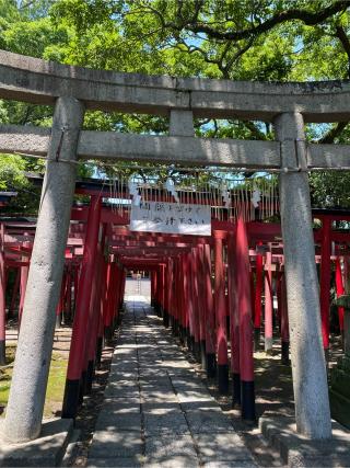 美濃輪稲荷神社の参拝記録(🧒ゆきさん)