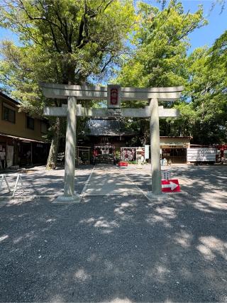 小芝八幡宮の参拝記録(こーちんさん)