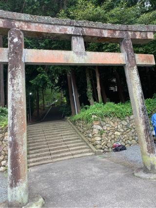 草薙神社の参拝記録(古事記追随さん)