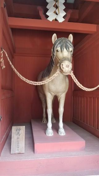 静岡浅間神社（神部神社・浅間神社）の参拝記録(®️さん)