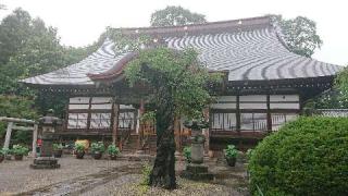 威徳山 真光寺の参拝記録(まっきーさん)