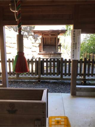 東雲神社の参拝記録(こーちんさん)