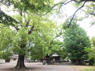 軍神社の参拝記録(じゃすてぃさん)