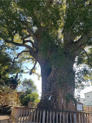 伊勢神明社の参拝記録(akiさん)