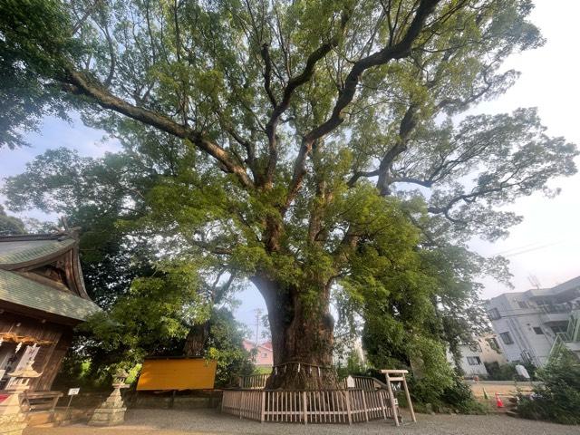 伊勢神明社の参拝記録9