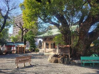 伊河麻神社の参拝記録(まっきーさん)