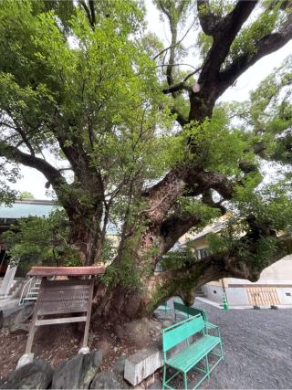 伊河麻神社の参拝記録(カズさん)