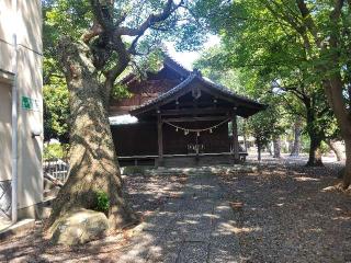 青木神社の参拝記録(まっきーさん)